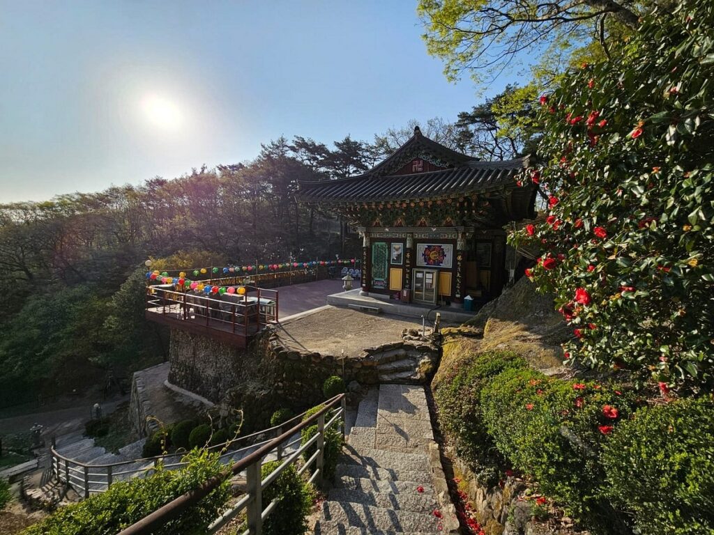 Golgulsa's cliffside hall with prayer lanterns strung along the terrace and camellias in flower
