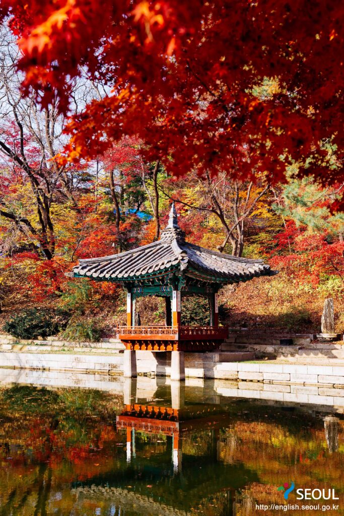 Buyongjeong pavilion reflected in the pond at Changdeokgung's Secret Garden, surrounded by red autumn maples
