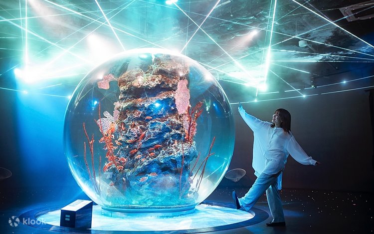 A spherical glass tank holding coral and fish, lit with blue laser beams, at átoa aquarium