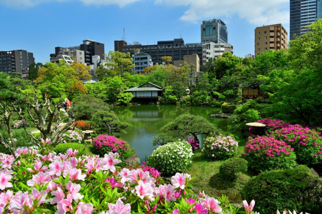 Sorakuen Garden's pond and teahouse surrounded by blooming azaleas and city towers behind