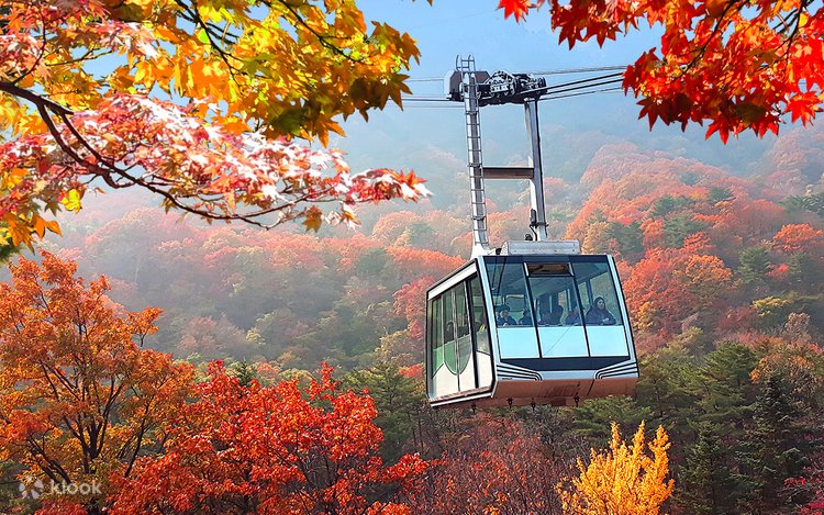 A Seoraksan cable car gondola suspended over red and orange autumn forest