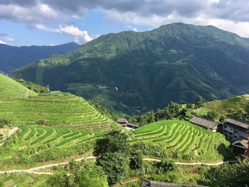 A small village of wooden houses set among green rice terraces at Ping'an
