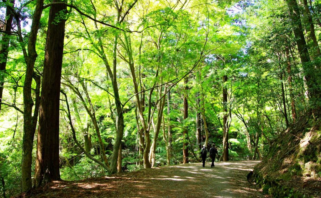 Two hikers walking a shaded path through Kasugayama Primeval Forest near Nara