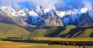 A herd of horses grazing on open grassland below dramatic snow-capped mountain peaks