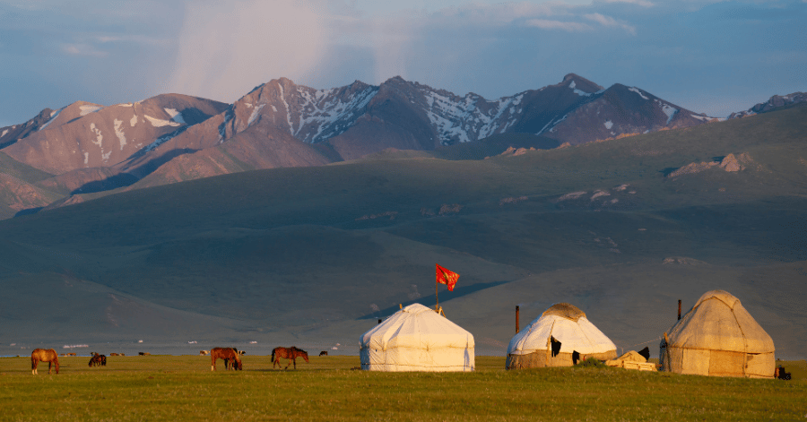 Traditional white felt yurts pitched on open grassland with horses grazing nearby at sunset