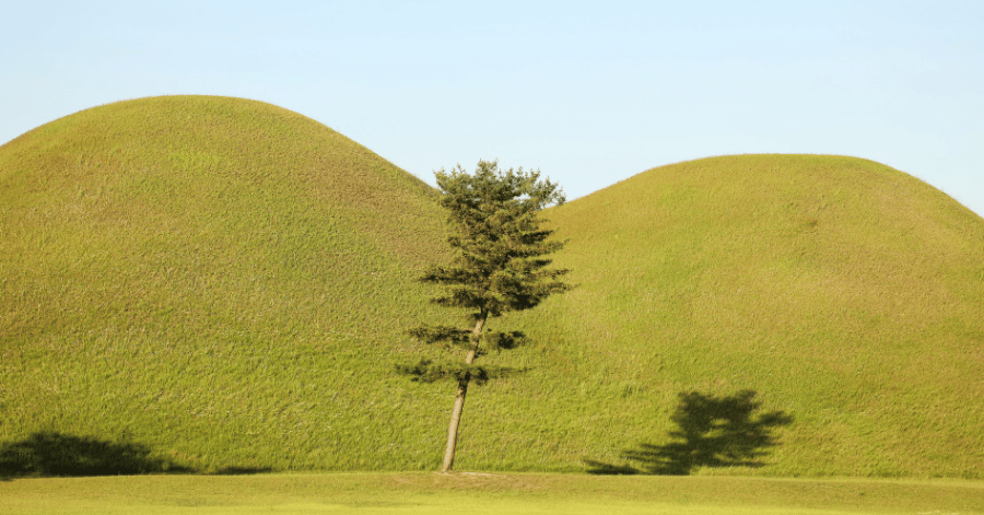 Two grass-covered burial mounds with a single pine tree standing between them