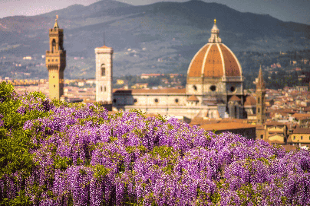 Florence's skyline and domed cathedral seen from above