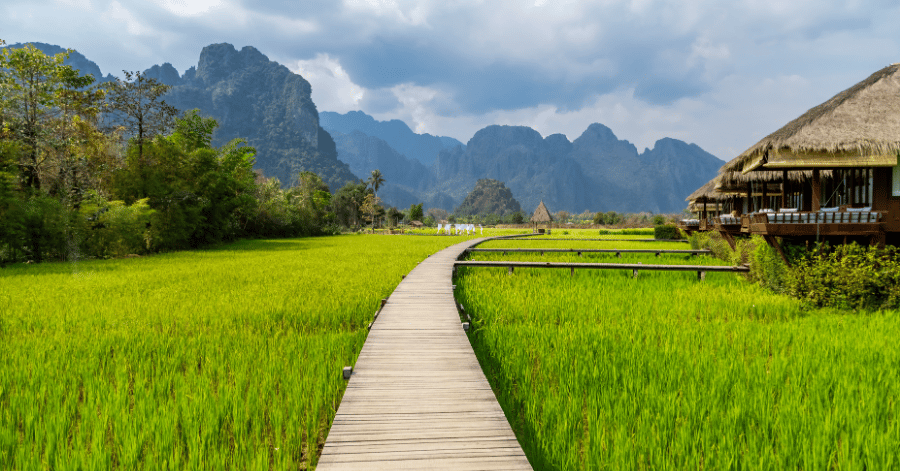 A wooden boardwalk winding through green rice paddies toward a thatched-roof building, with karst mountains behind