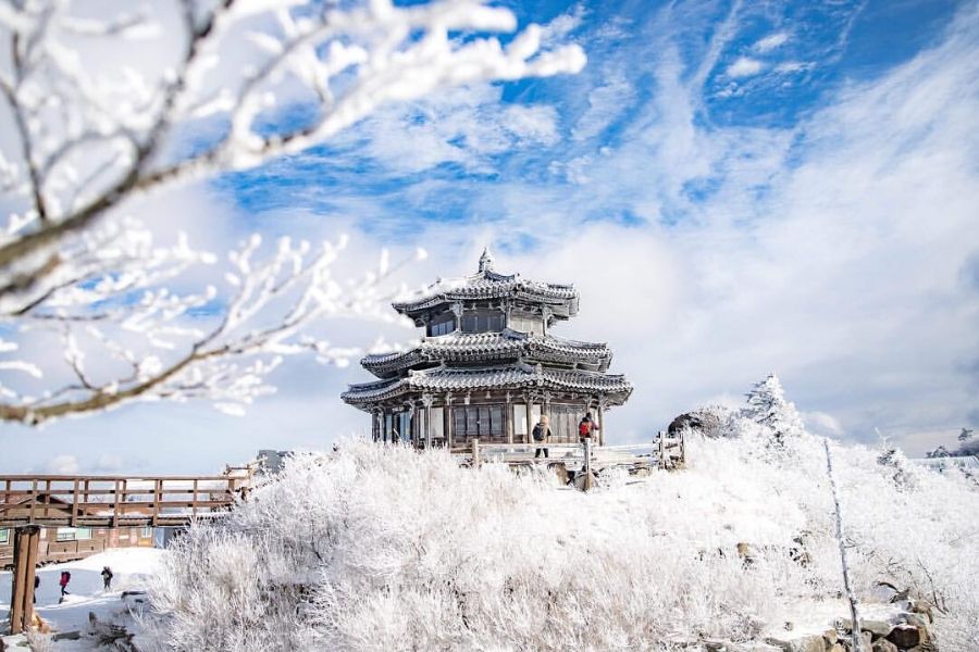 สุดยอด 5 ที่เที่ยวเกาหลีหน้าหนาว ถ่ายรูปสวย ลงโซเชียลได้รัวๆ – Blog – YouTrip Thailand