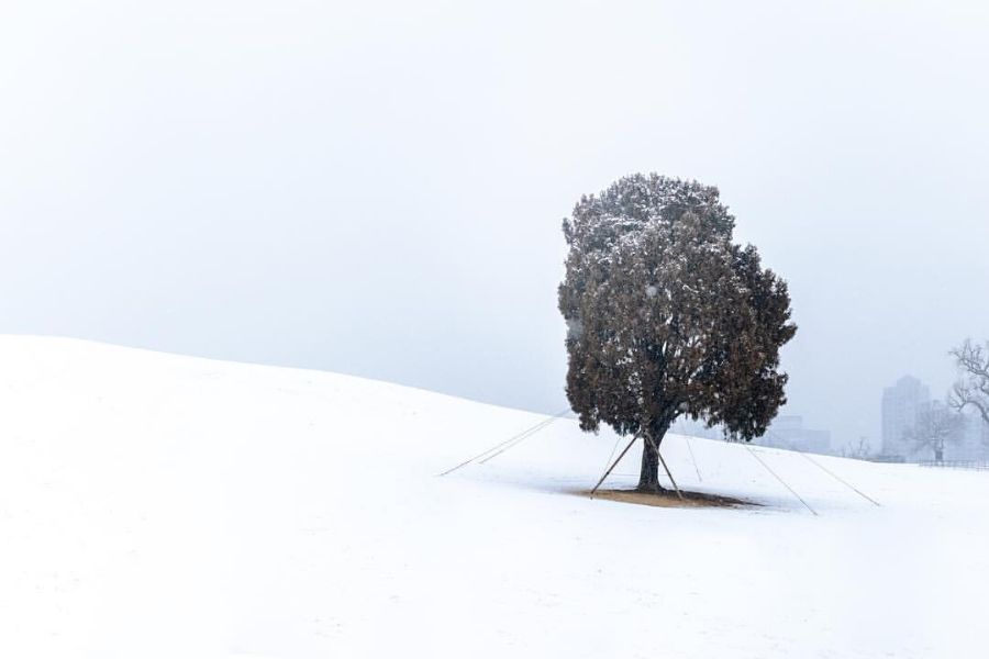 south-korea-winter