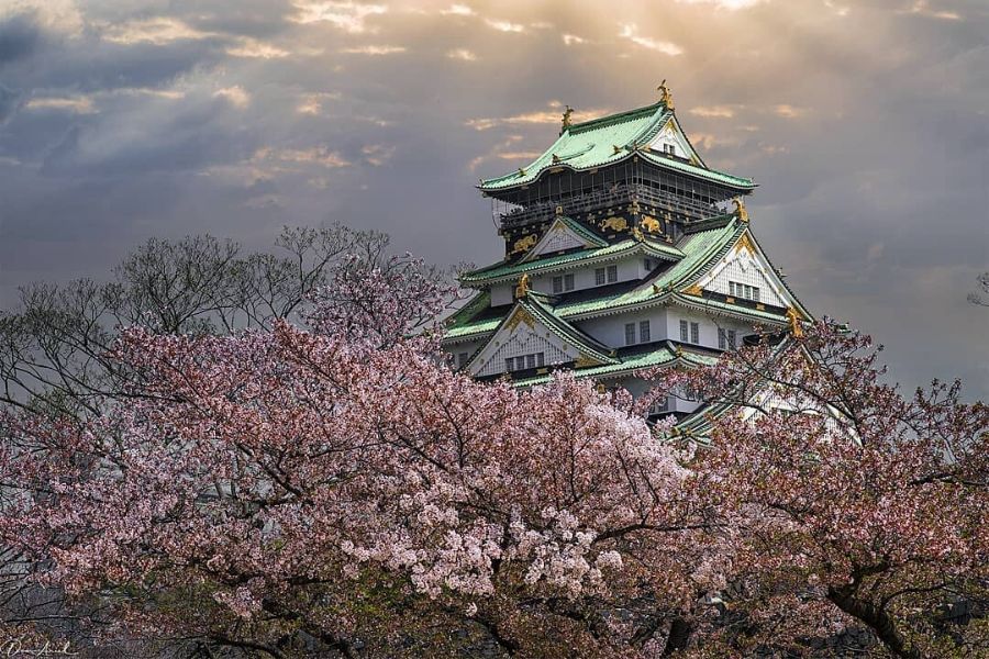 kyoto-osaka-sakura-iternery