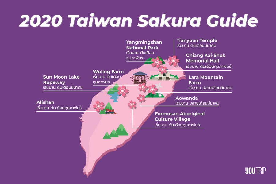 taiwan-sakura-guide