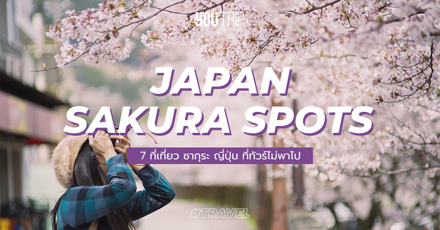 japan-sakura-attractions