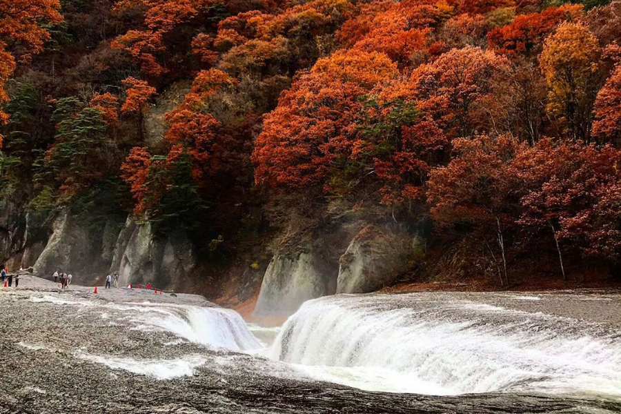 attractions-near-tokyo