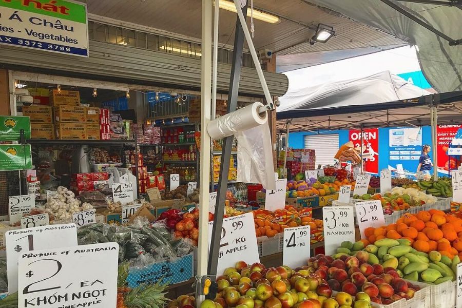 brisbane-study-abroad-guide