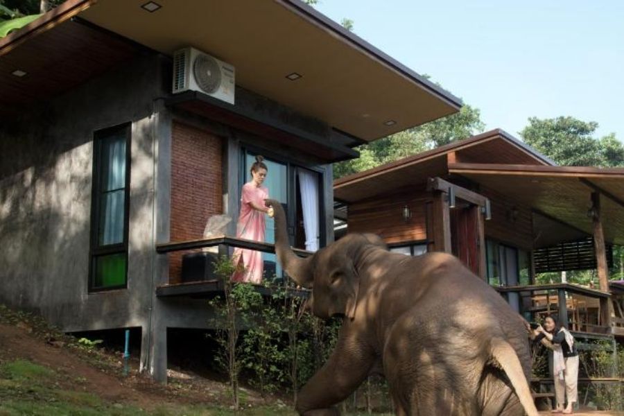 chaing-mai-hotels-best-deal