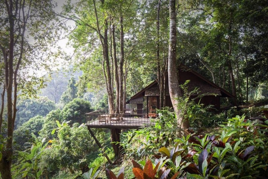 chaing-mai-hotels-best-deal