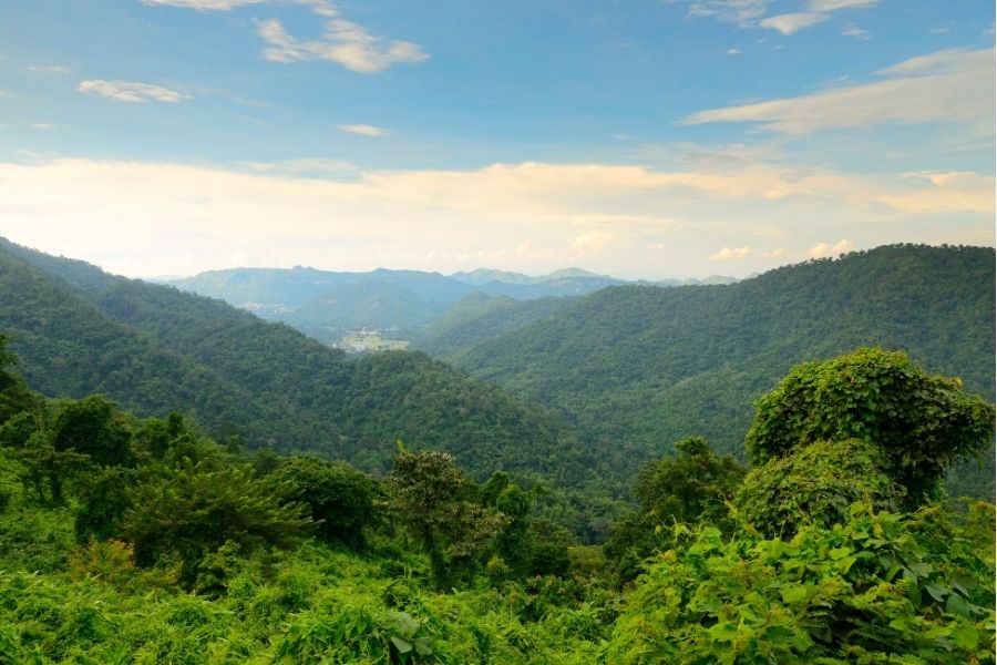 khao-yai-hotels-best-deal