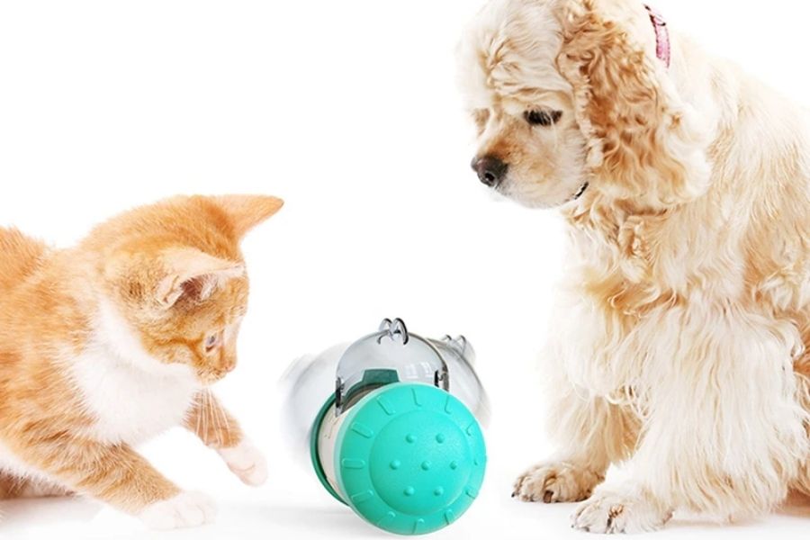 best-pet-toys