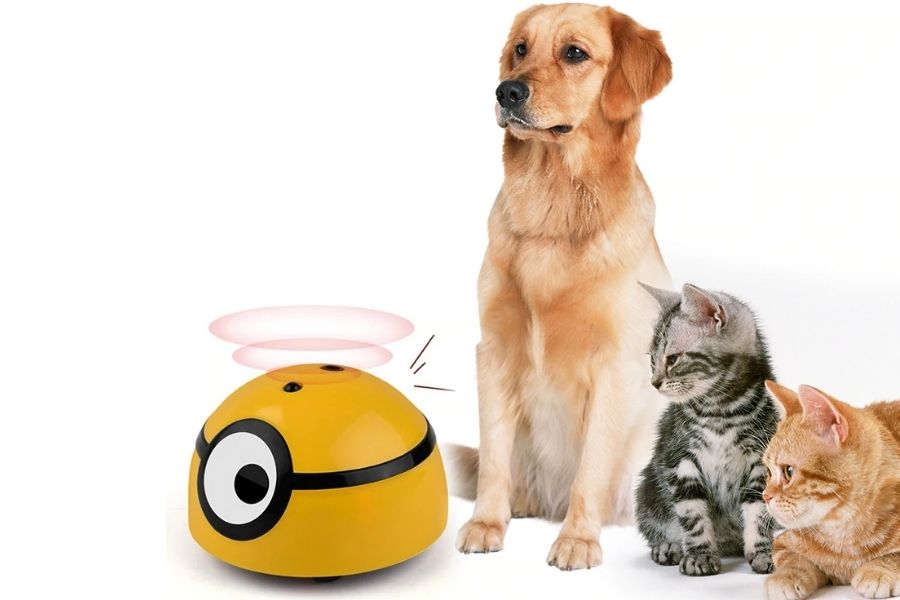 best-pet-toys