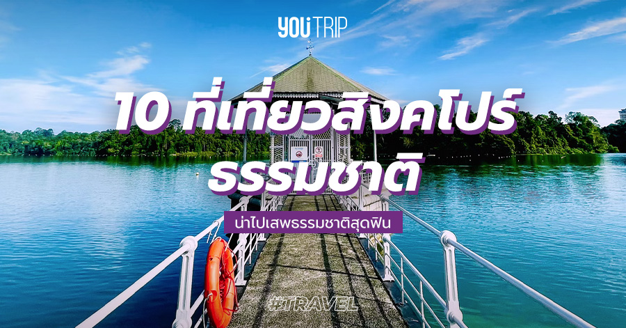 10 ที่เที่ยวสิงคโปร์ธรรมชาติ 2023 ไปเสพธรรมชาติฟิน ๆ กัน – Blog – YouTrip Thailand 10 ที่เที่ยวสิงคโปร์ธรรมชาติ 2023 ไปเสพธรรมชาติฟิน ๆ กัน – Blog – Youtrip Thailand