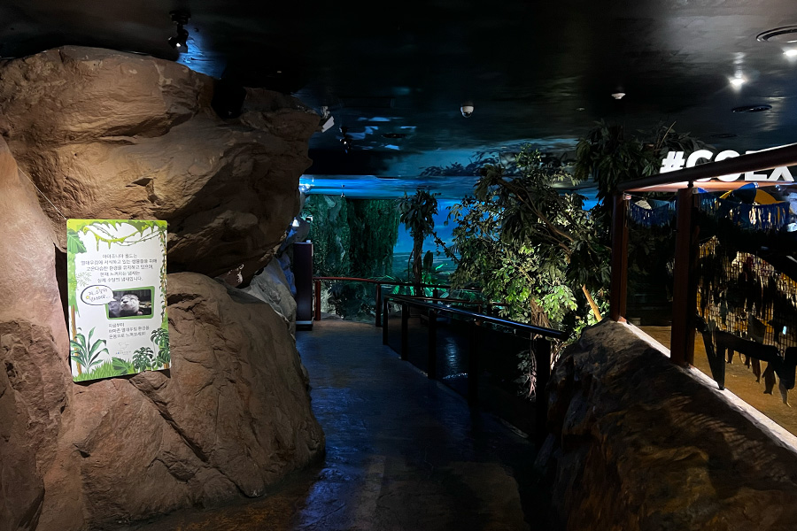 coex-aquarium