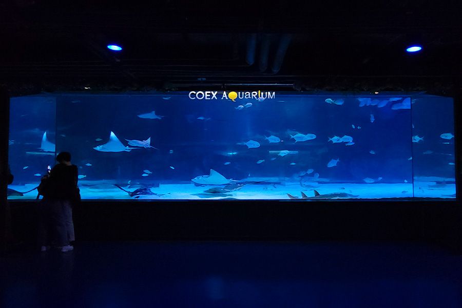 coex-aquarium