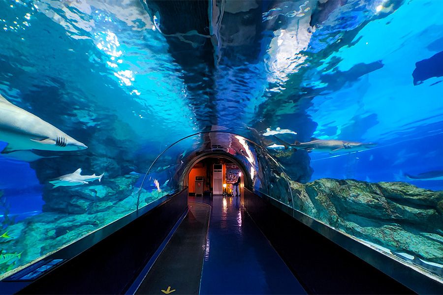 coex-aquarium