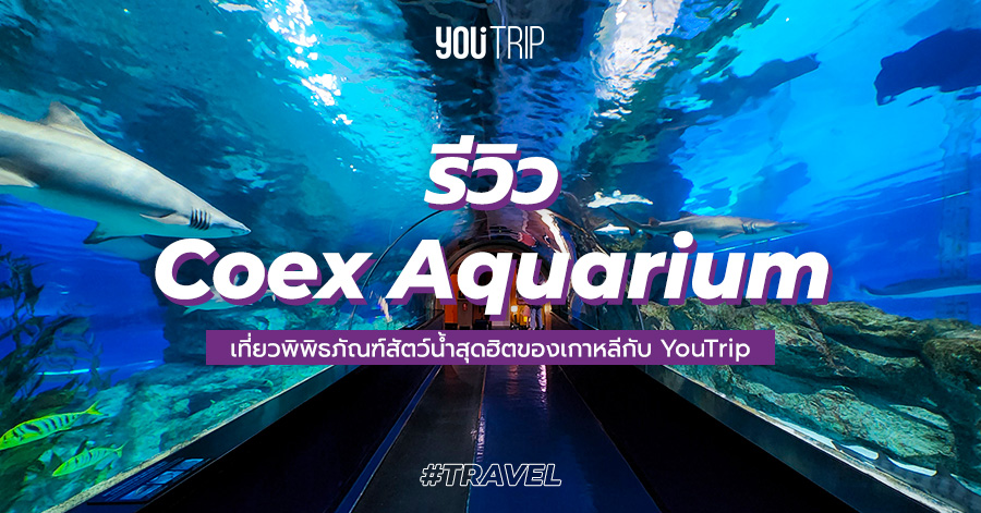 coex-aquarium