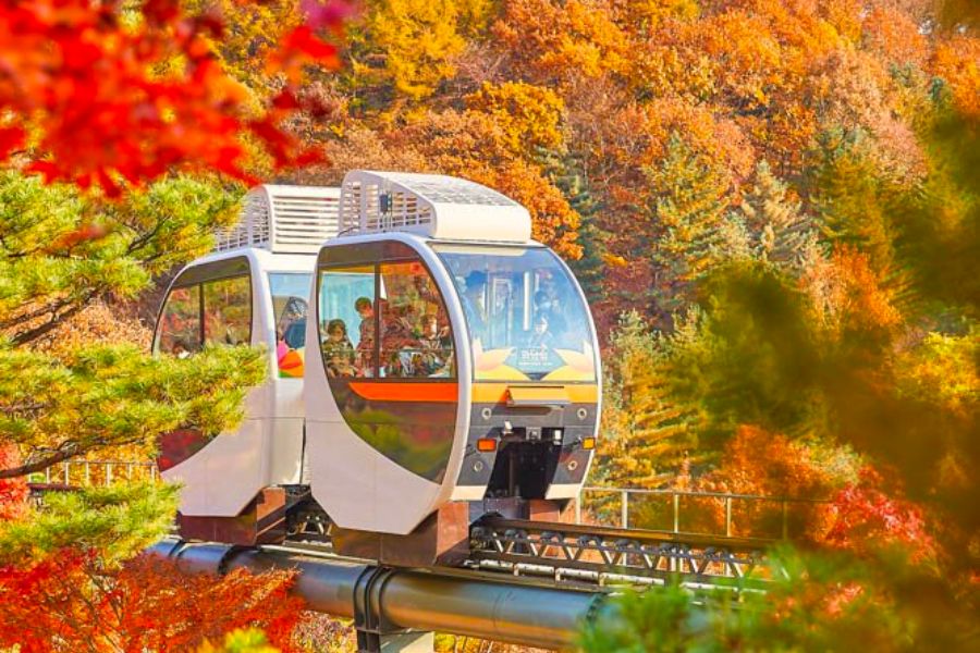 south-korea-autumn