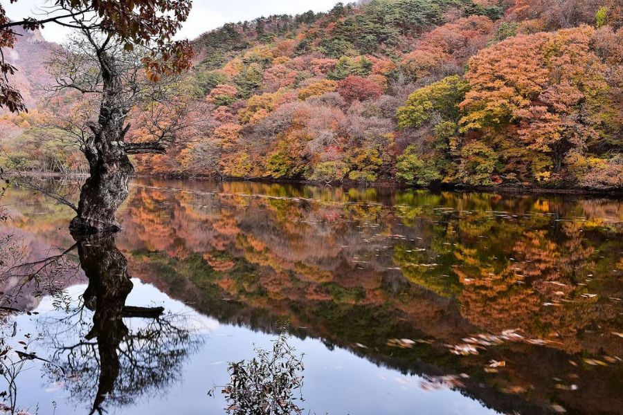 south-korea-autumn