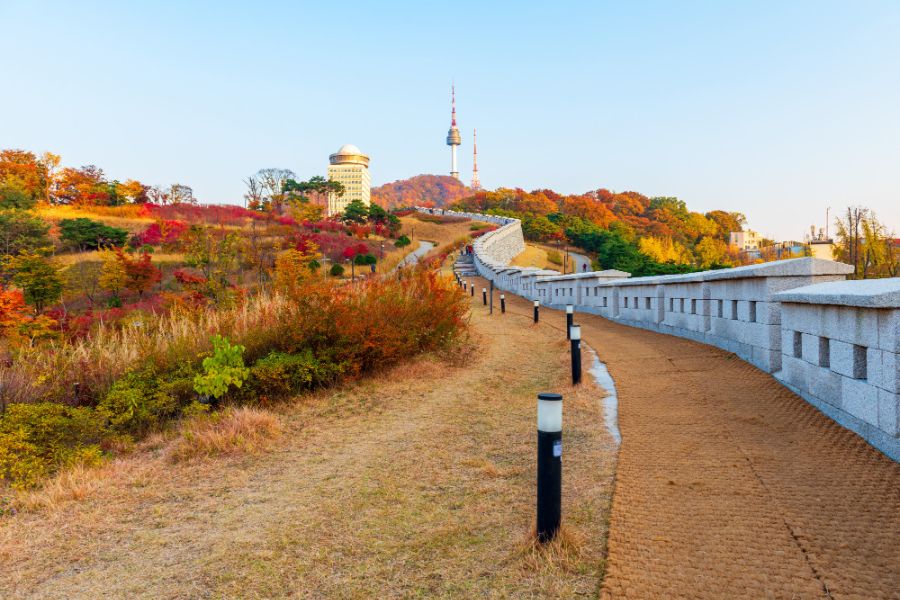 south-korea-autumn