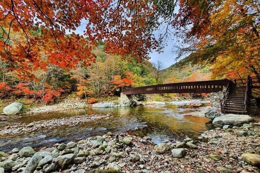 south-korea-autumn