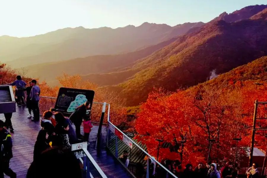 south-korea-autumn