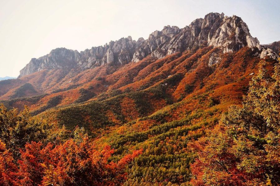 south-korea-autumn