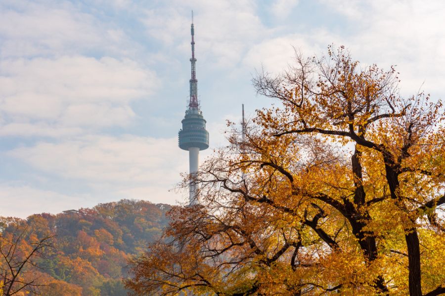 south-korea-autumn