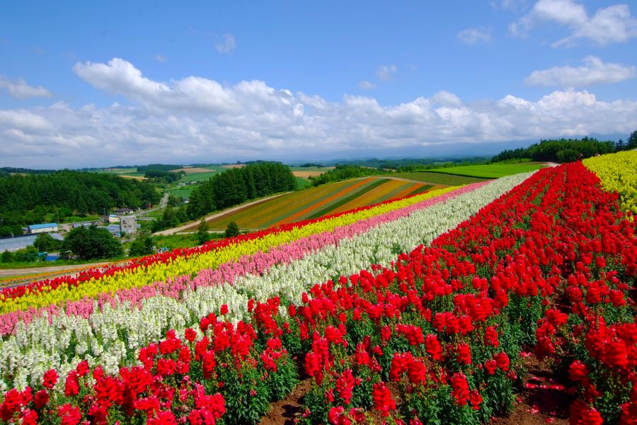 hokkaido-attractions