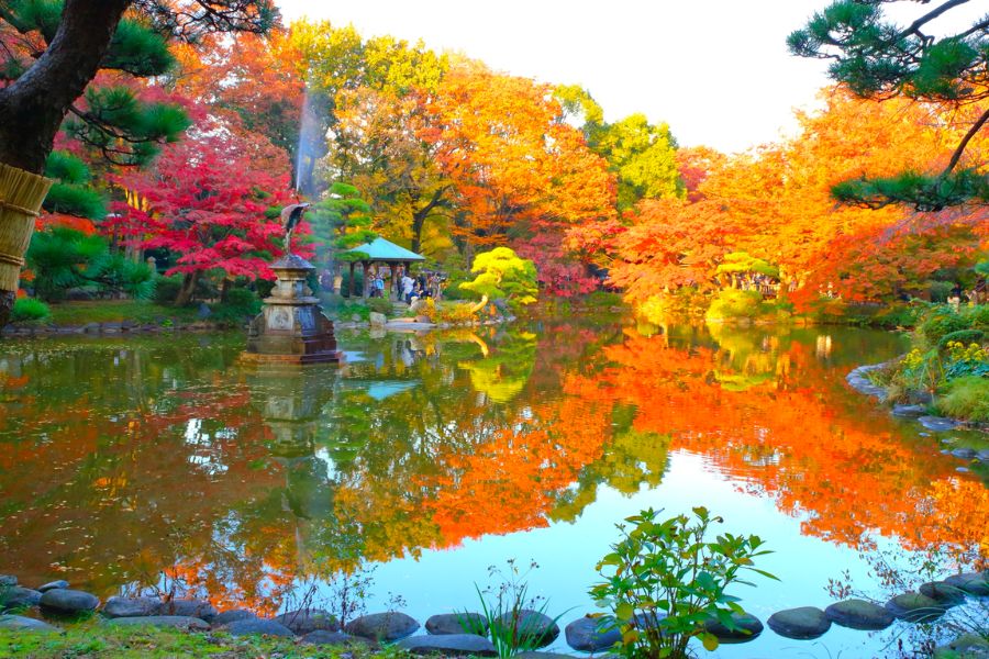 japan-autumn-guide