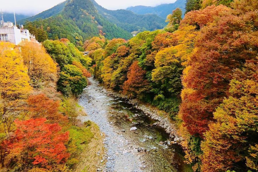 japan-autumn-guide