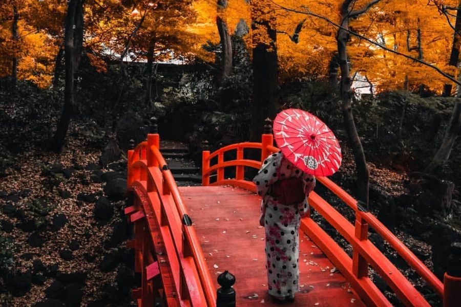 japan-autumn-guide