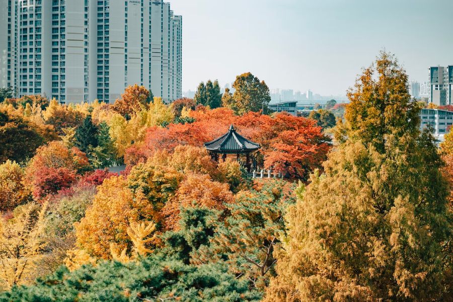 korea-autumn-guide