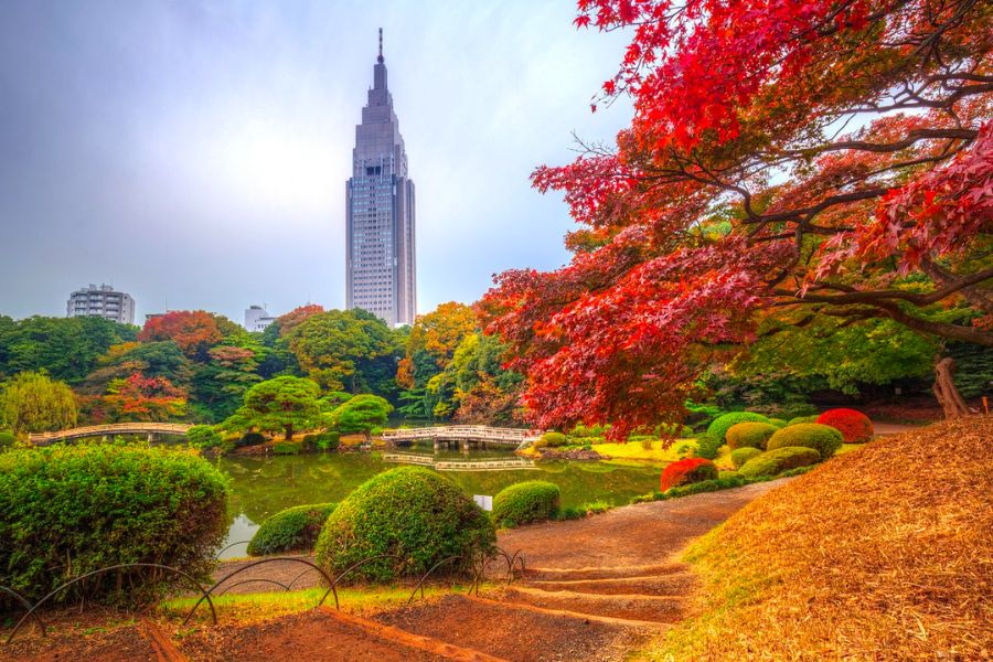 japan-autumn-guide