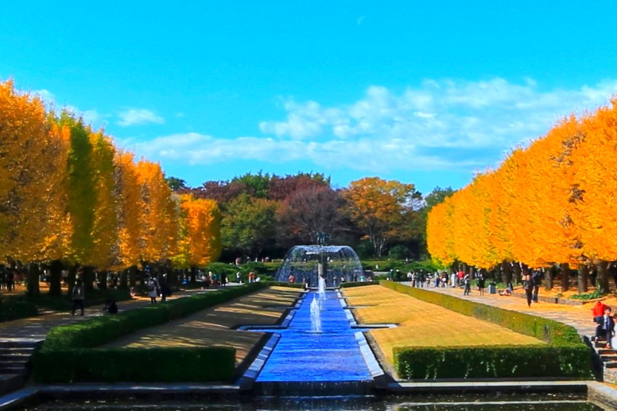 japan-autumn-guide