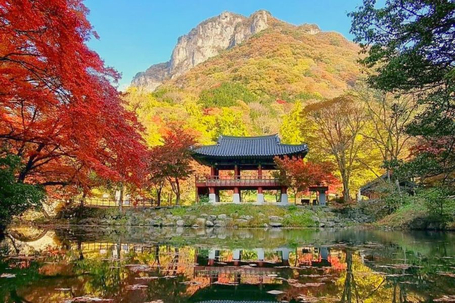 south-korea-autumn