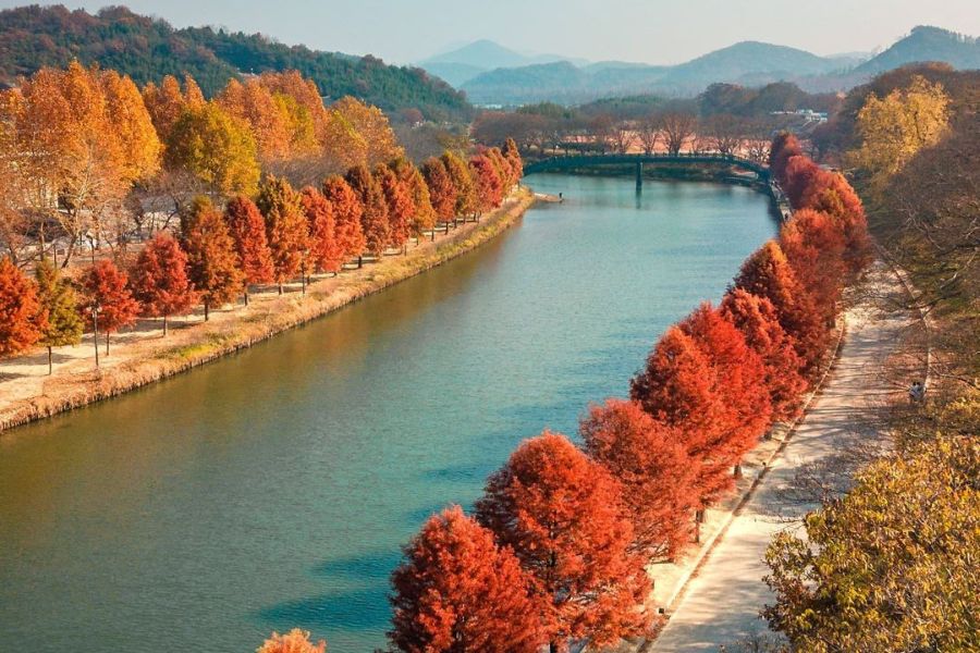 south-korea-autumn