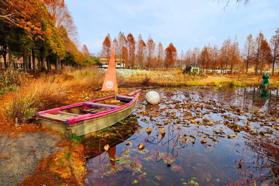 south-korea-autumn