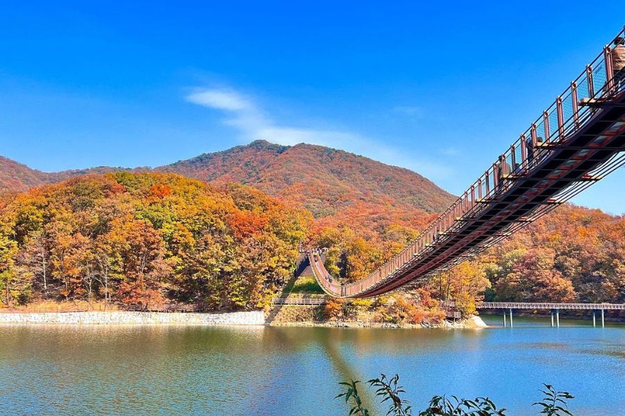 south-korea-autumn