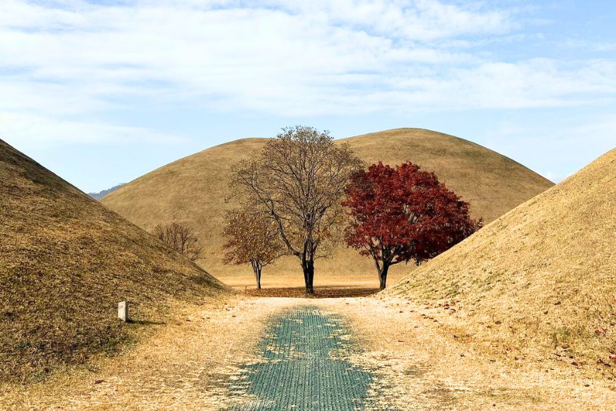 south-korea-autumn