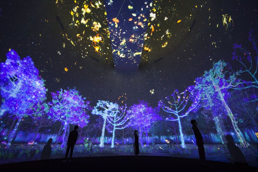 teamlab