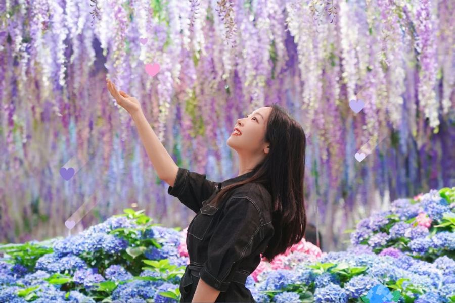 south-korea-new-attractions